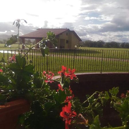 Agriturismo Oasi Del Pianettino Campagnatico Экстерьер фото