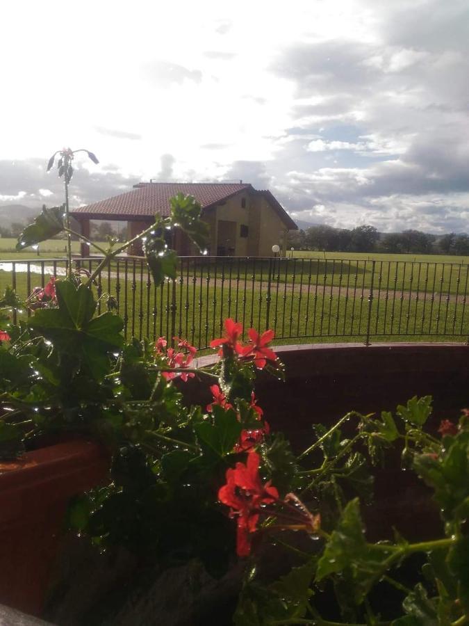 Agriturismo Oasi Del Pianettino Campagnatico Экстерьер фото